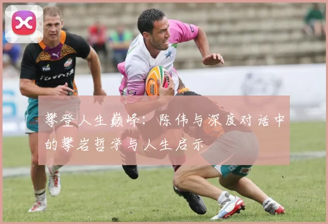 攀登人生巅峰：陈伟与深度对话中的攀岩哲学与人生启示