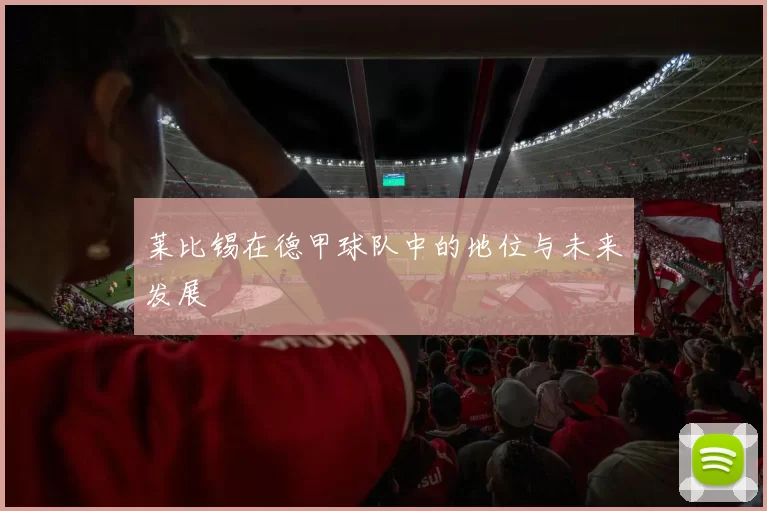 莱比锡在德甲球队中的地位与未来发展