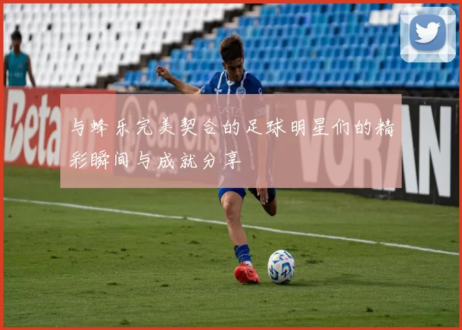 与蜂乐完美契合的足球明星们的精彩瞬间与成就分享