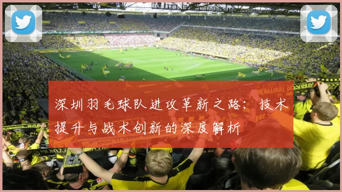 深圳羽毛球队进攻革新之路：技术提升与战术创新的深度解析
