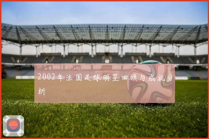 2002年法国足球明星回顾与成就分析