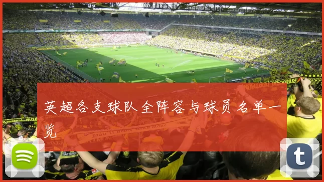 英超各支球队全阵容与球员名单一览