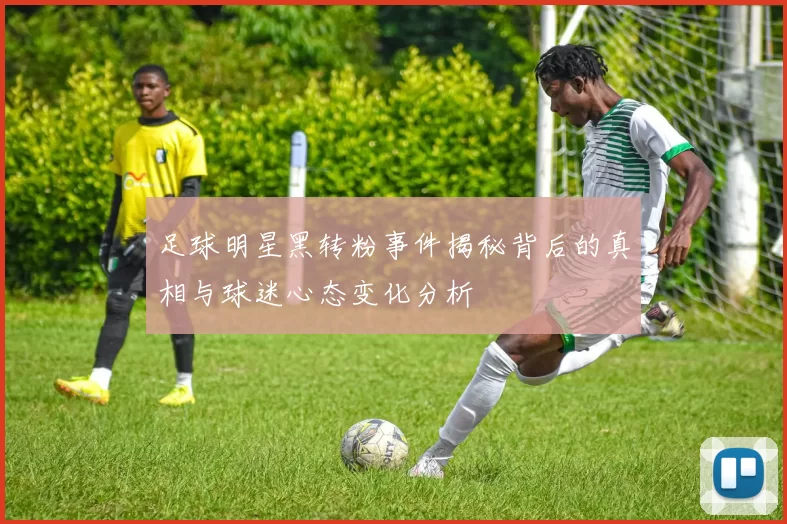 足球明星黑转粉事件揭秘背后的真相与球迷心态变化分析