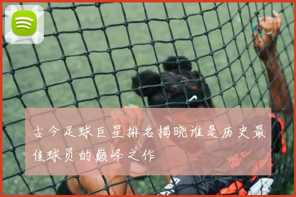 古今足球巨星排名揭晓谁是历史最佳球员的巅峰之作