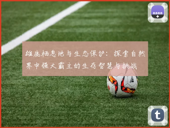 雄鹿栖息地与生态保护：探索自然界中强大霸主的生存智慧与挑战