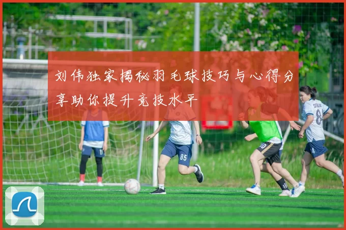 刘伟独家揭秘羽毛球技巧与心得分享助你提升竞技水平