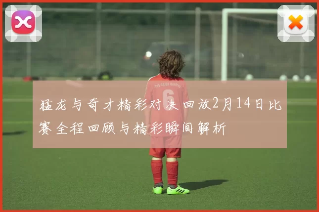 猛龙与奇才精彩对决回放2月14日比赛全程回顾与精彩瞬间解析
