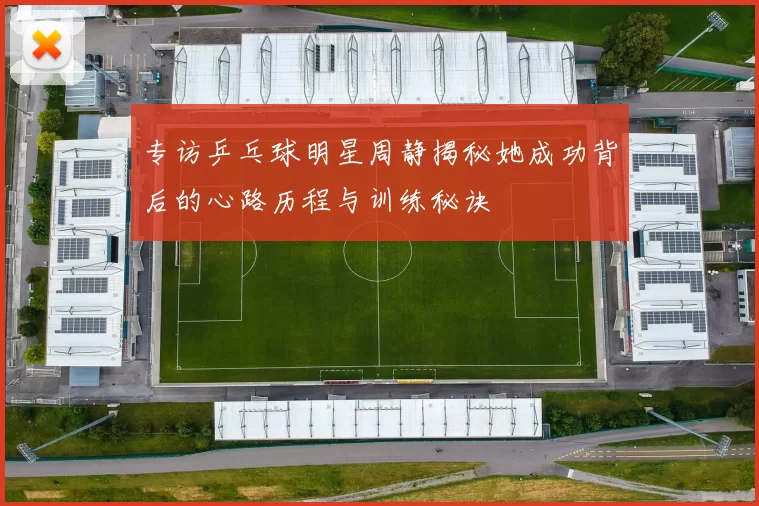 专访乒乓球明星周静揭秘她成功背后的心路历程与训练秘诀