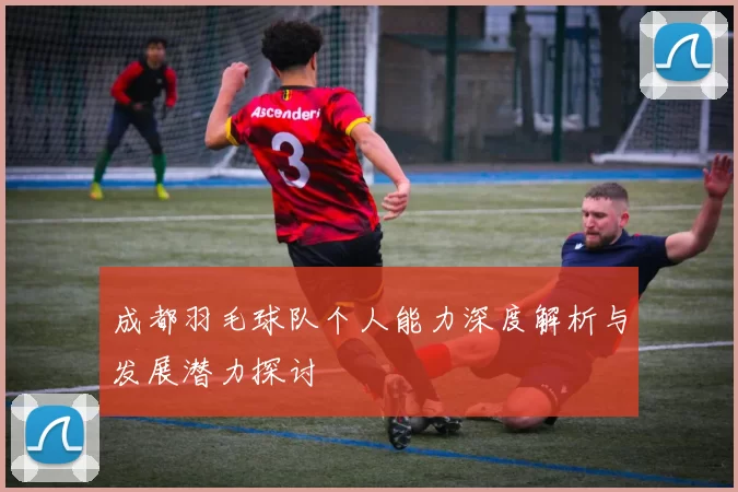成都羽毛球队个人能力深度解析与发展潜力探讨