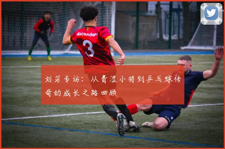 刘芳专访：从青涩小将到乒乓球传奇的成长之路回顾