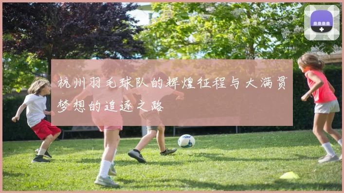杭州羽毛球队的辉煌征程与大满贯梦想的追逐之路