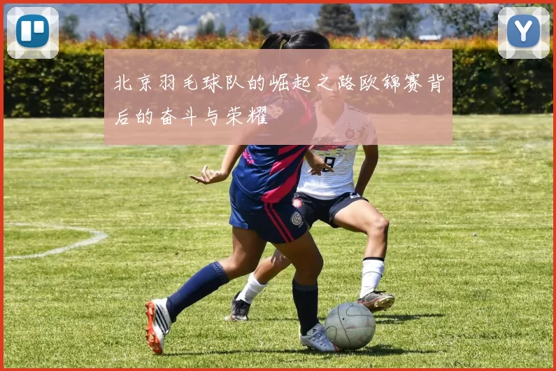 北京羽毛球队的崛起之路欧锦赛背后的奋斗与荣耀