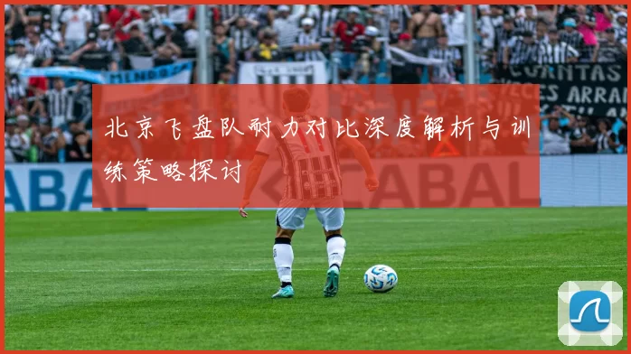 北京飞盘队耐力对比深度解析与训练策略探讨