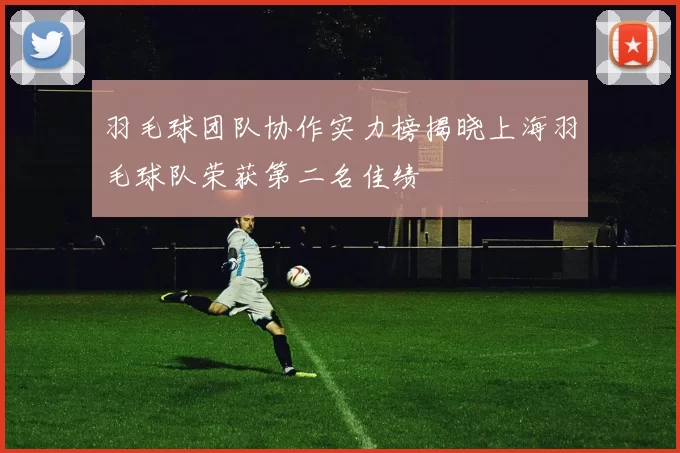 羽毛球团队协作实力榜揭晓上海羽毛球队荣获第二名佳绩