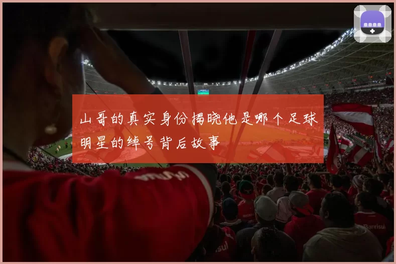 山哥的真实身份揭晓他是哪个足球明星的绰号背后故事