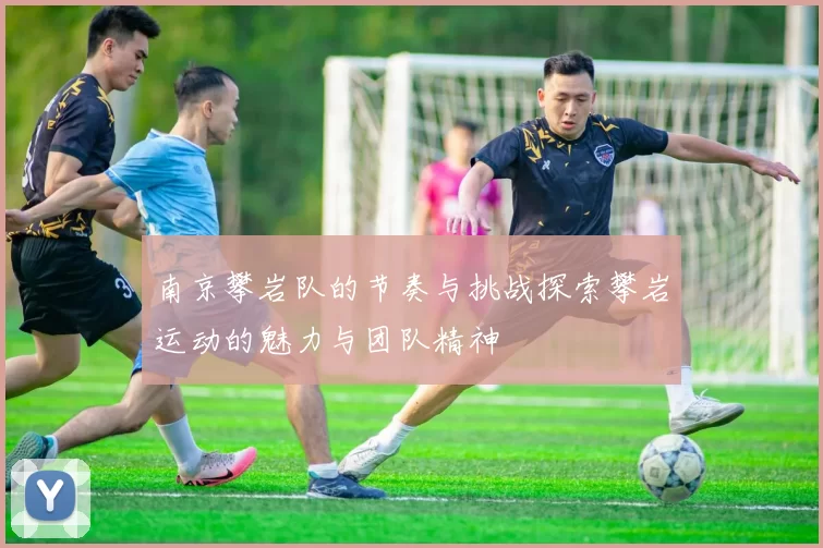南京攀岩队的节奏与挑战探索攀岩运动的魅力与团队精神