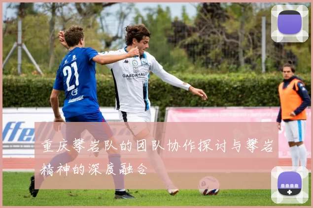 重庆攀岩队的团队协作探讨与攀岩精神的深度融合