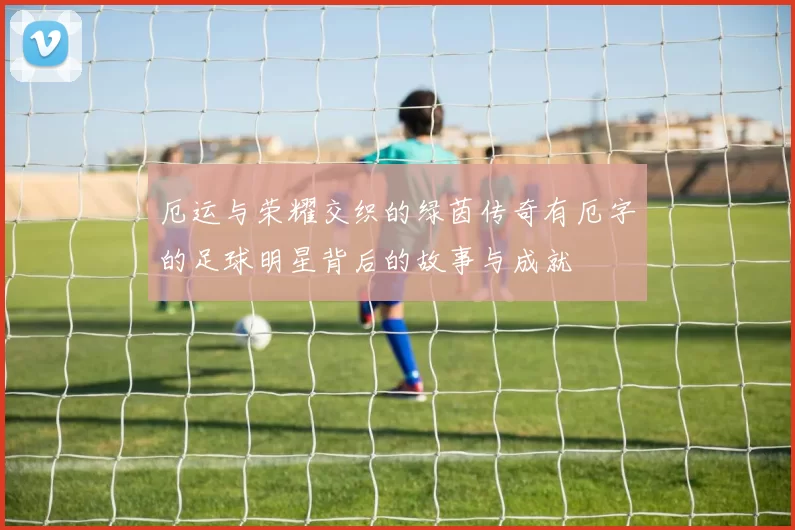 厄运与荣耀交织的绿茵传奇有厄字的足球明星背后的故事与成就