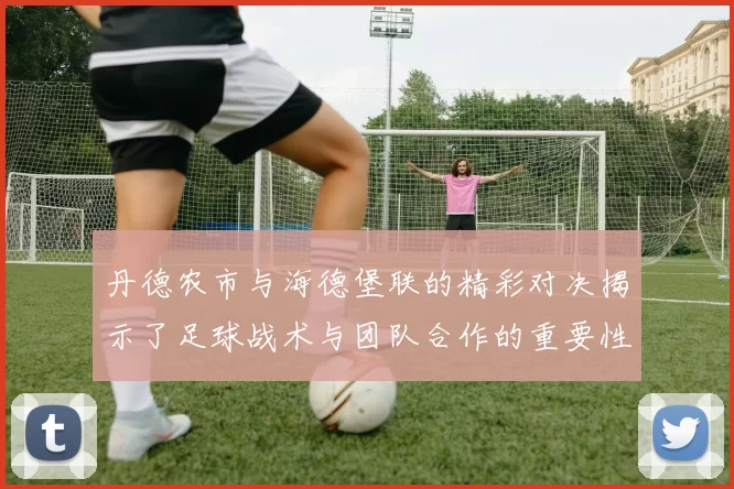 丹德农市与海德堡联的精彩对决揭示了足球战术与团队合作的重要性