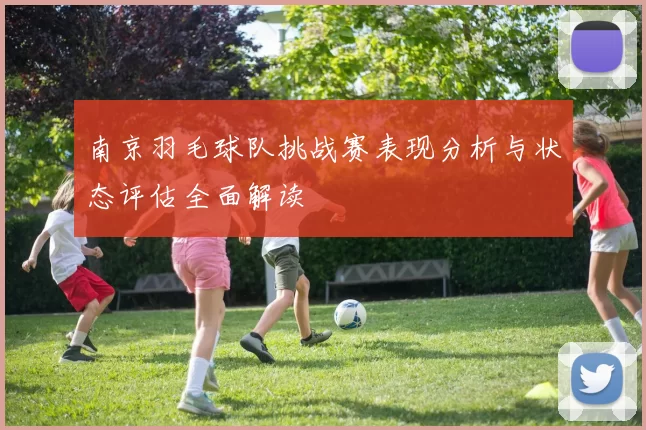南京羽毛球队挑战赛表现分析与状态评估全面解读