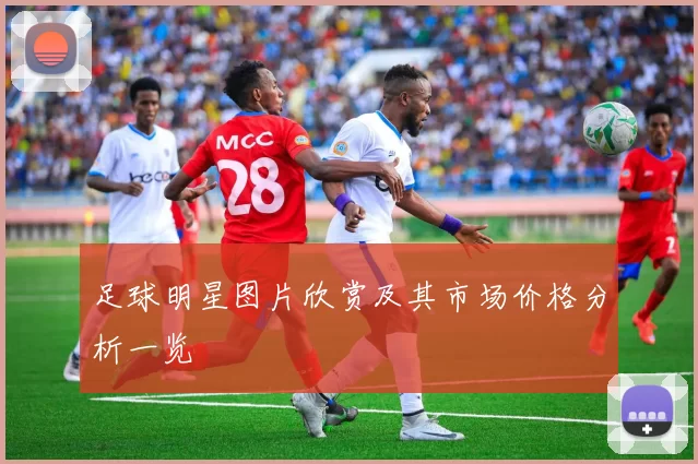 足球明星图片欣赏及其市场价格分析一览