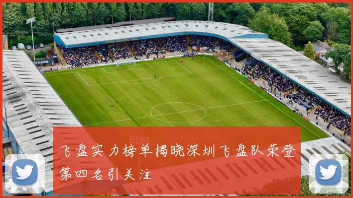 飞盘实力榜单揭晓深圳飞盘队荣登第四名引关注